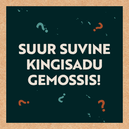 Shoppa Gemossis ja haara endale üllatuskastist kingitus kaasa!